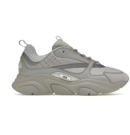 Dior B22 Gris